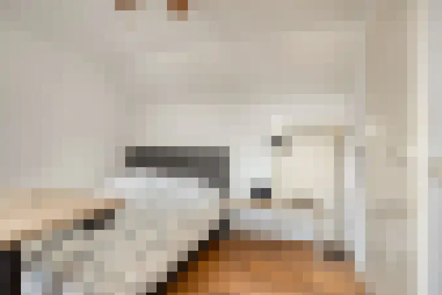 Van Hogendorpplein 45 Goirle thumbnail 35