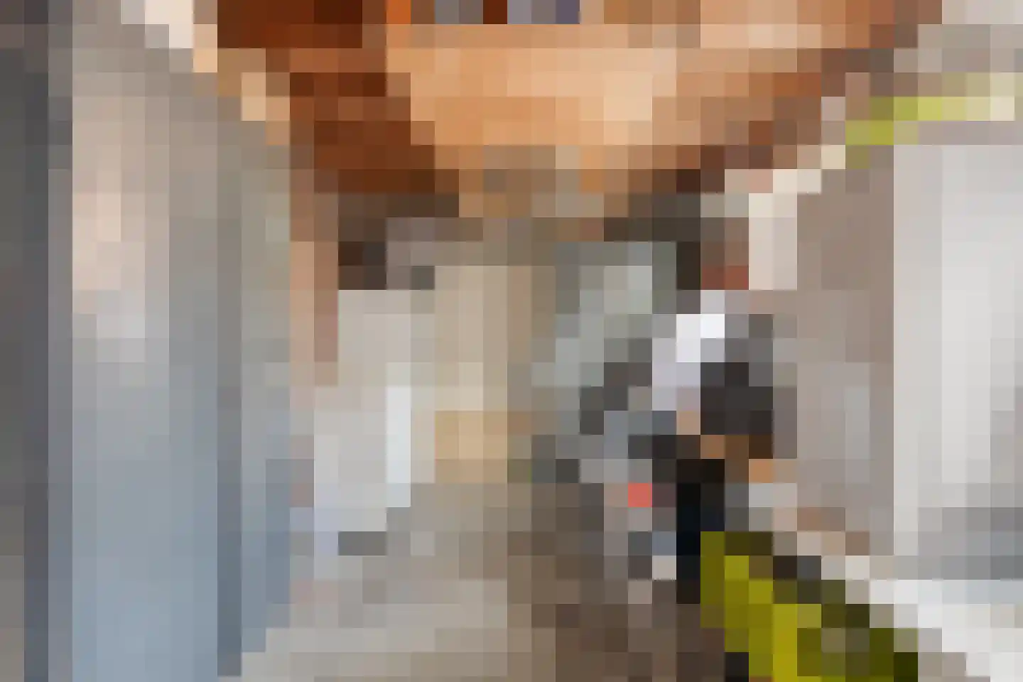 Van Hogendorpplein 45 Goirle thumbnail 39