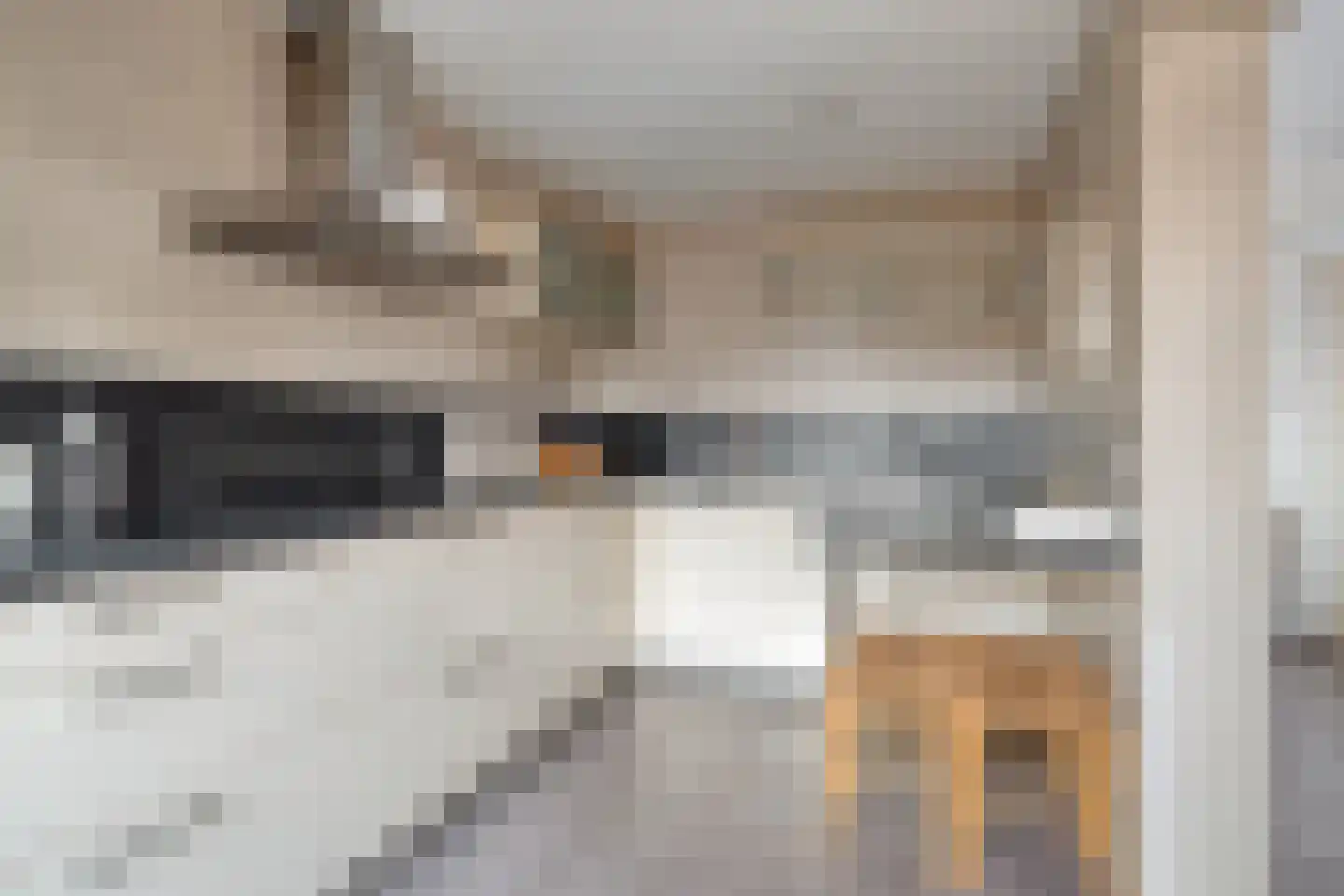 Van Hogendorpplein 45 Goirle thumbnail 4