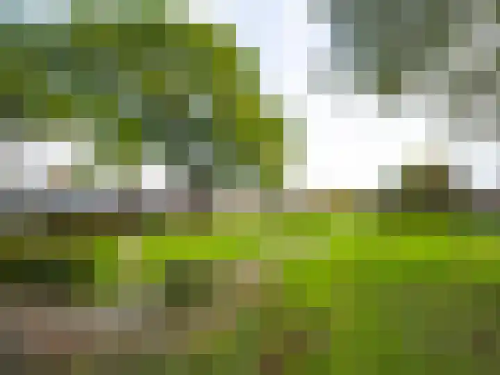 van Hogendorpstraat 1 Zutphen thumbnail 21