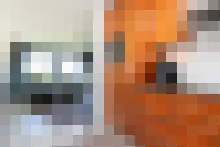van Hogendorpstraat 100 Nijmegen thumbnail 17