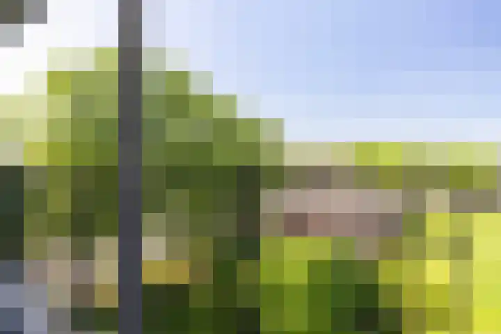 van Hogendorpstraat 100 Nijmegen thumbnail 23