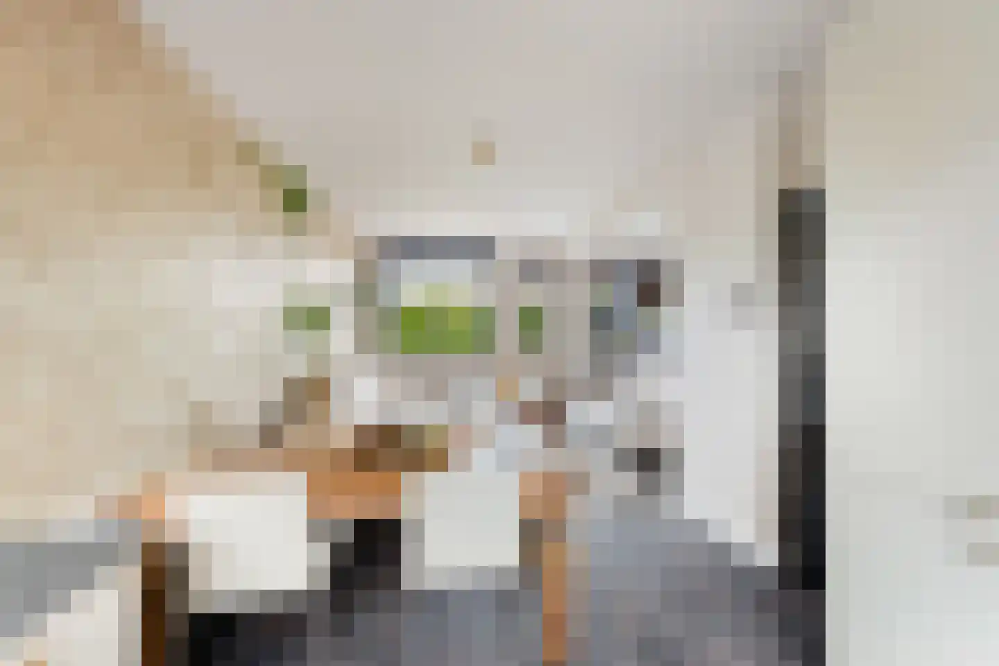 Van Hogendorpstraat 11 Almkerk thumbnail 12