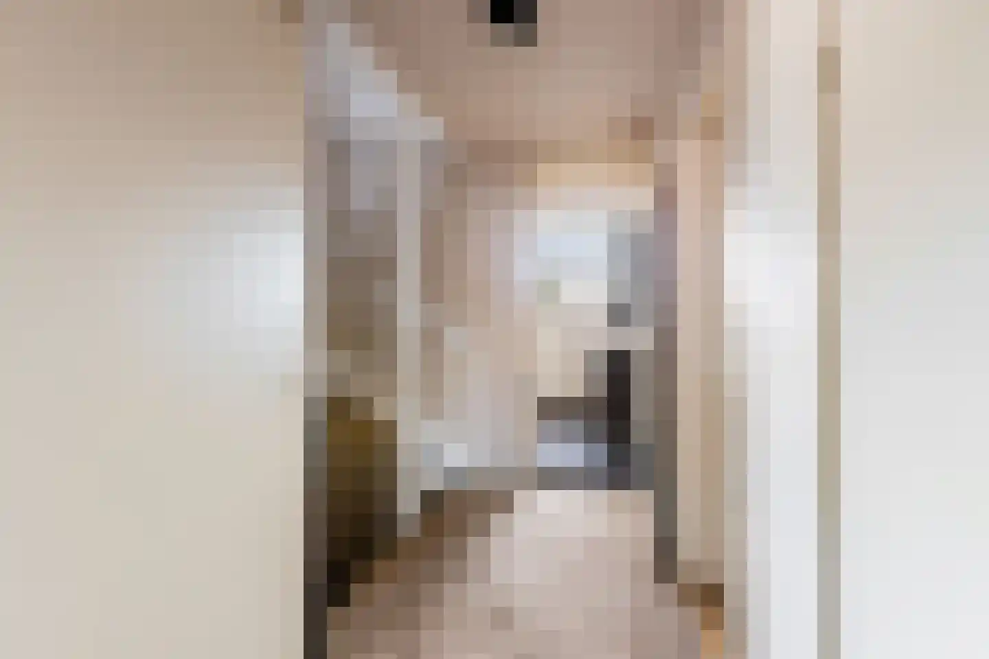 Van Hogendorpstraat 11 Almkerk thumbnail 14