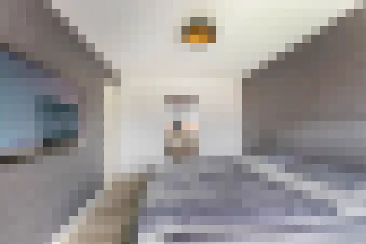 Van Hogendorpstraat 11 Almkerk thumbnail 16