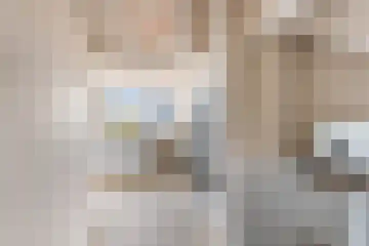 Van Hogendorpstraat 11 Almkerk thumbnail 25