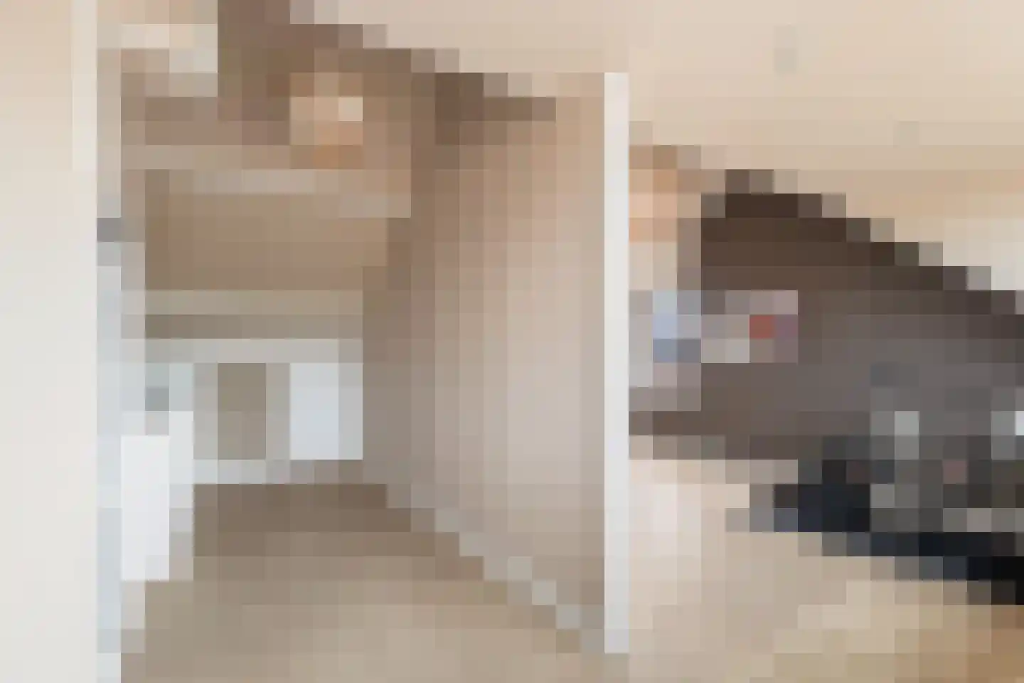 Van Hogendorpstraat 11 Almkerk thumbnail 26