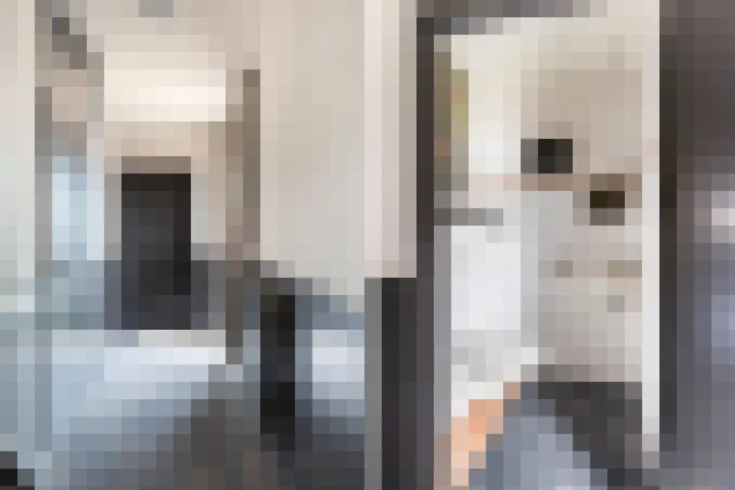 Van Hogendorpstraat 11 Almkerk thumbnail 5
