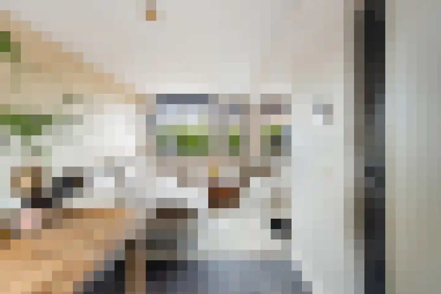 Van Hogendorpstraat 11 Almkerk thumbnail 6