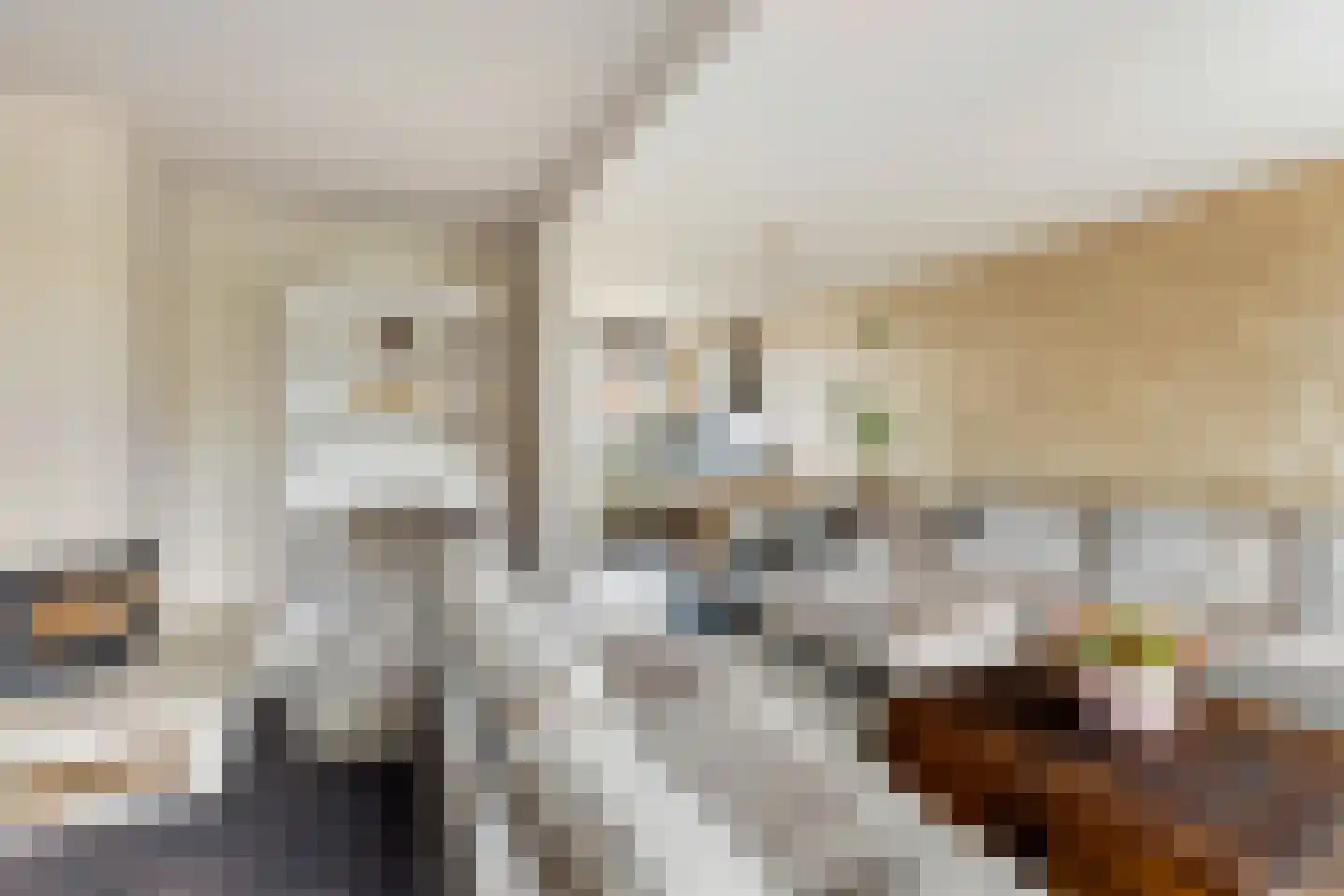 Van Hogendorpstraat 11 Almkerk thumbnail 8