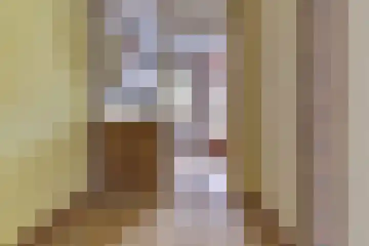 Van Hogendorpstraat 11 Elst thumbnail 10