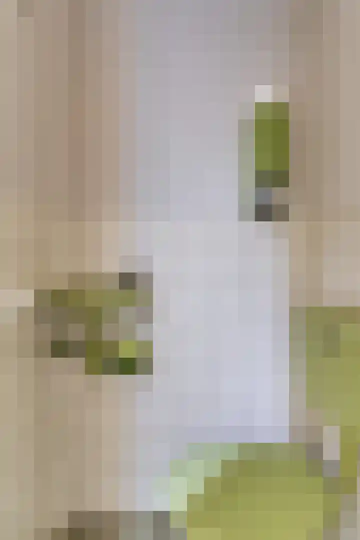 Van Hogendorpstraat 11 Elst thumbnail 14