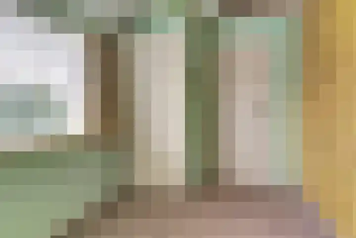 Van Hogendorpstraat 11 Elst thumbnail 18