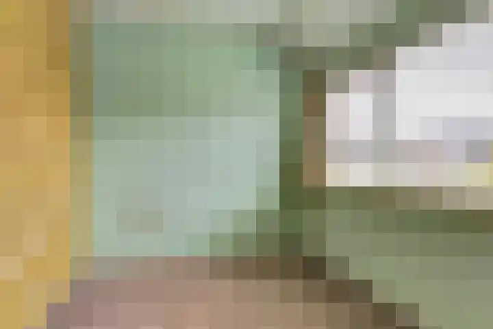 Van Hogendorpstraat 11 Elst thumbnail 19