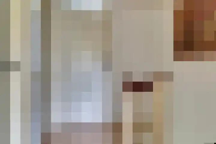 Van Hogendorpstraat 11 Elst thumbnail 22