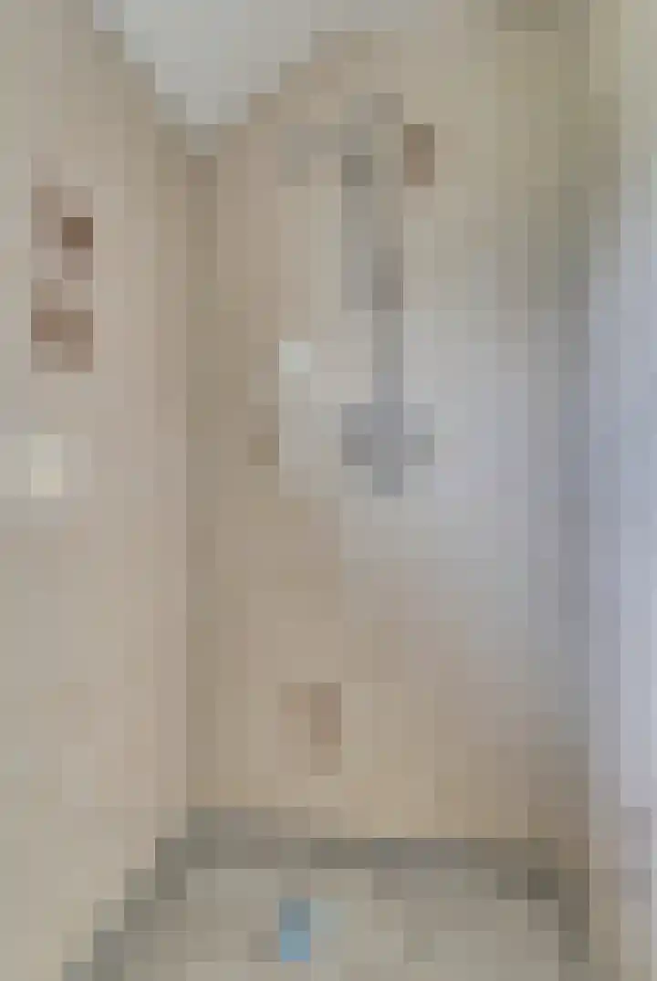 Van Hogendorpstraat 11 Elst thumbnail 23