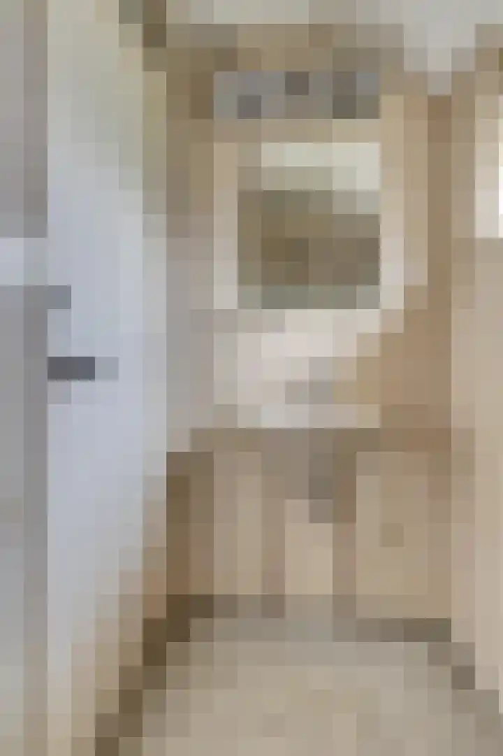Van Hogendorpstraat 11 Elst thumbnail 24