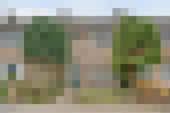 Van Hogendorpstraat 11 Elst thumbnail 25
