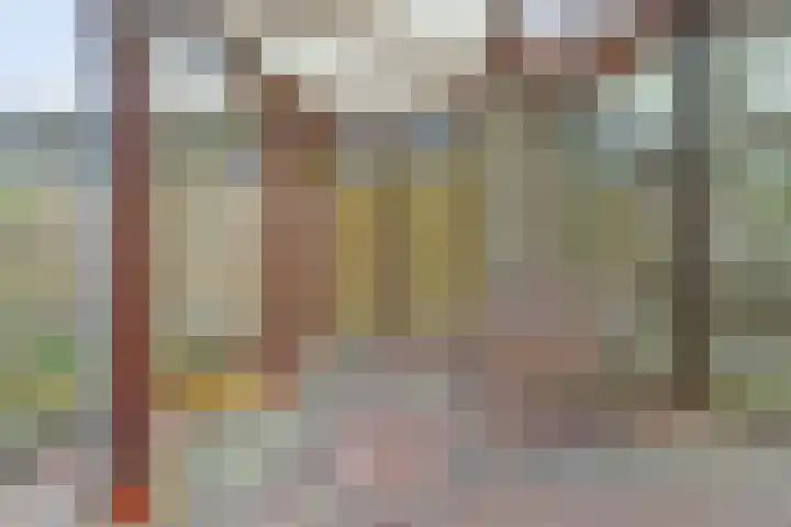 Van Hogendorpstraat 11 Elst thumbnail 28