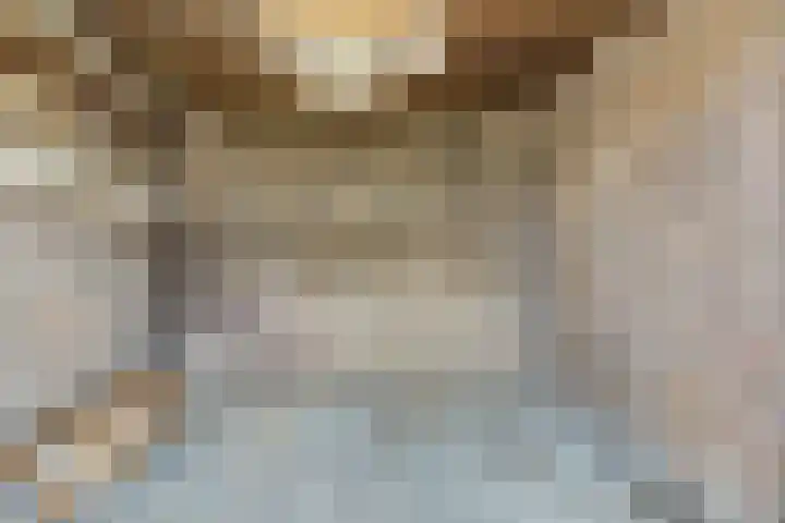 Van Hogendorpstraat 11 Elst thumbnail 29