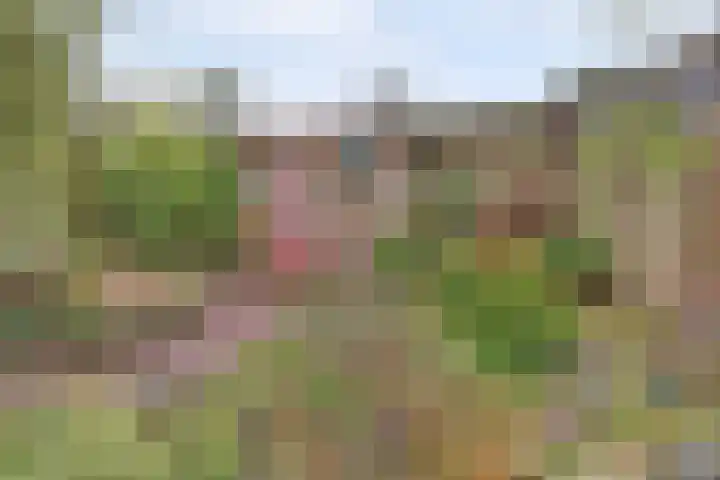 Van Hogendorpstraat 11 Elst thumbnail 4