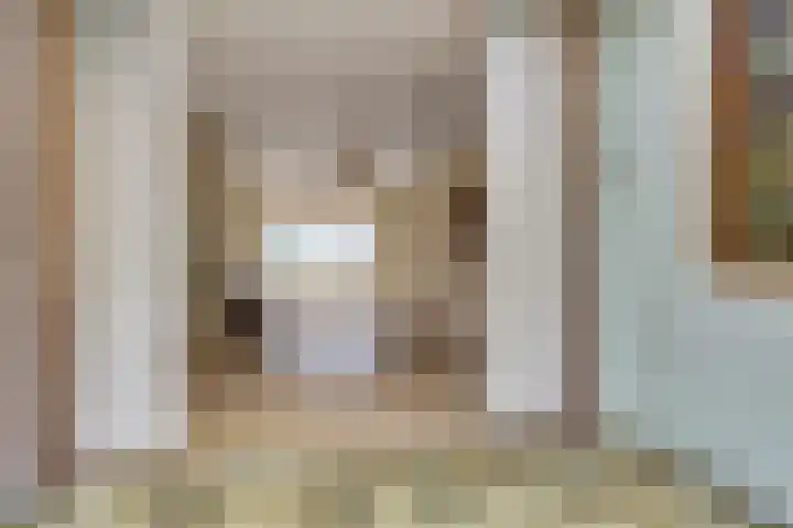 Van Hogendorpstraat 11 Elst thumbnail 9