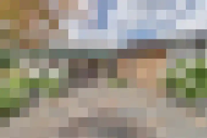 van Hogendorpstraat 11 Moerkapelle thumbnail 35