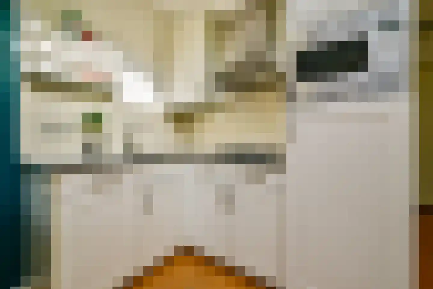 Van Hogendorpstraat 110 1 Amsterdam thumbnail 7