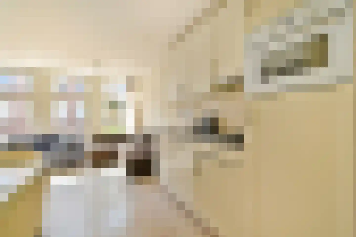 Van Hogendorpstraat 110 2 Amsterdam thumbnail 8