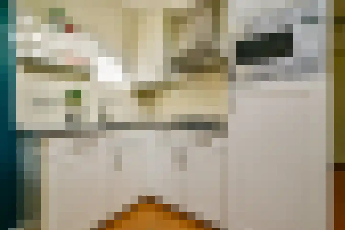 Van Hogendorpstraat 110 4 Amsterdam thumbnail 7
