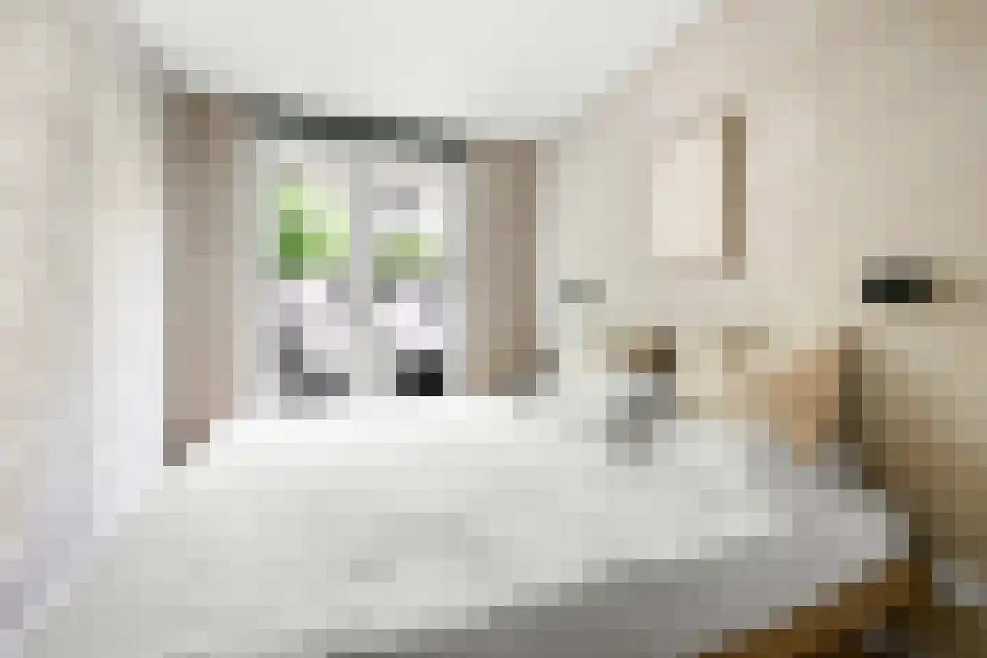 Van Hogendorpstraat 118 2 Amsterdam thumbnail 42