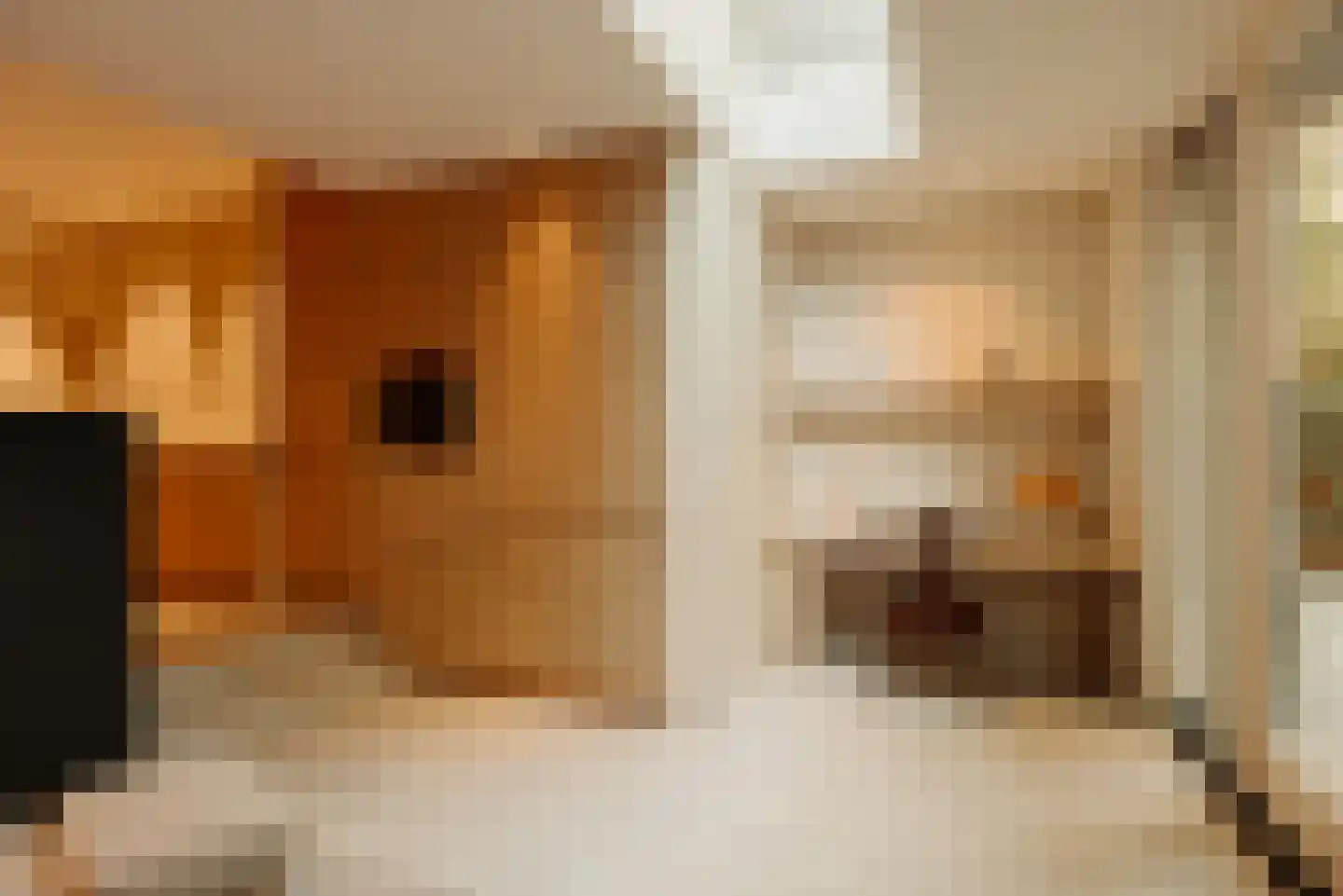 Van Hogendorpstraat 122 H Amsterdam thumbnail 15