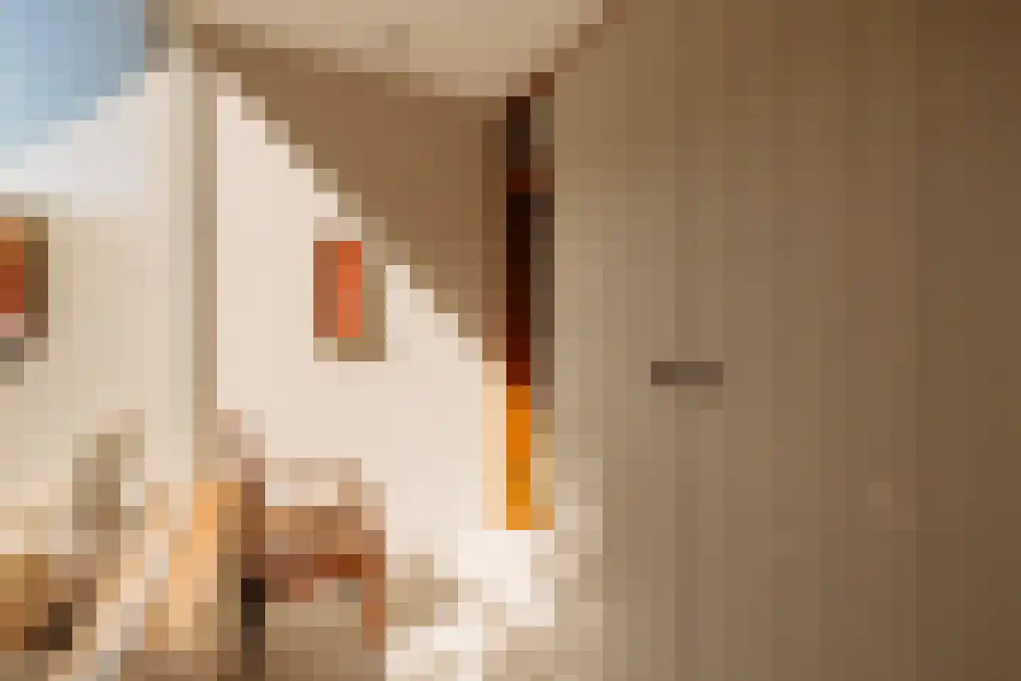Van Hogendorpstraat 122 H Amsterdam thumbnail 33