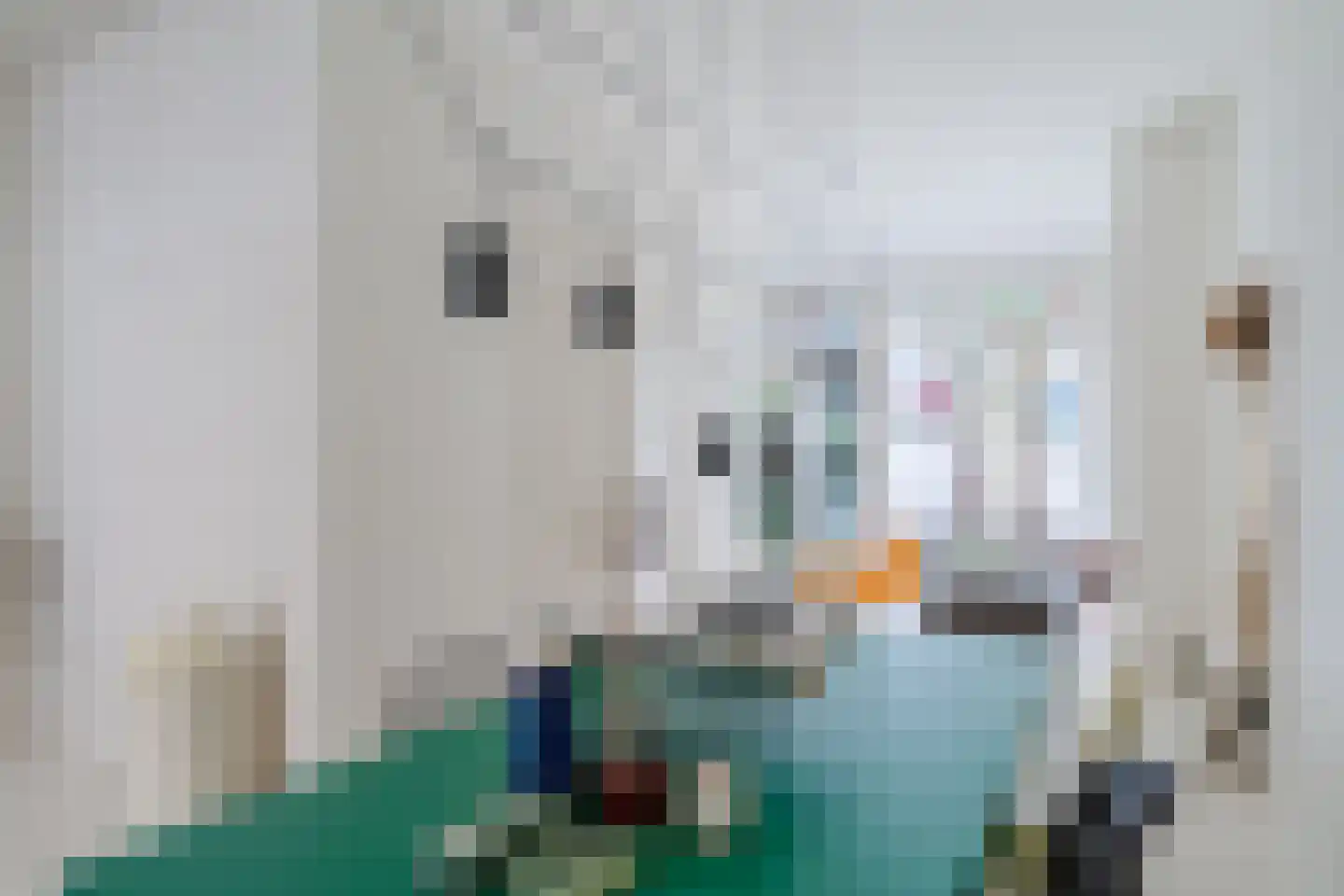 Van Hogendorpstraat 123 H Amsterdam thumbnail 18
