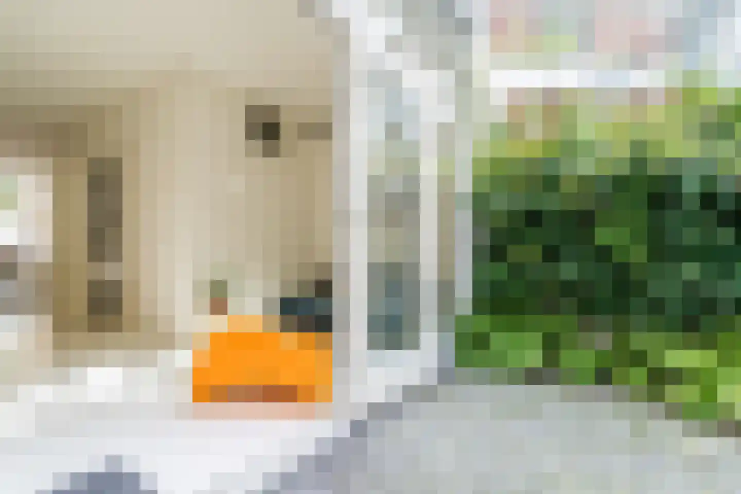 Van Hogendorpstraat 123 H Amsterdam thumbnail 40