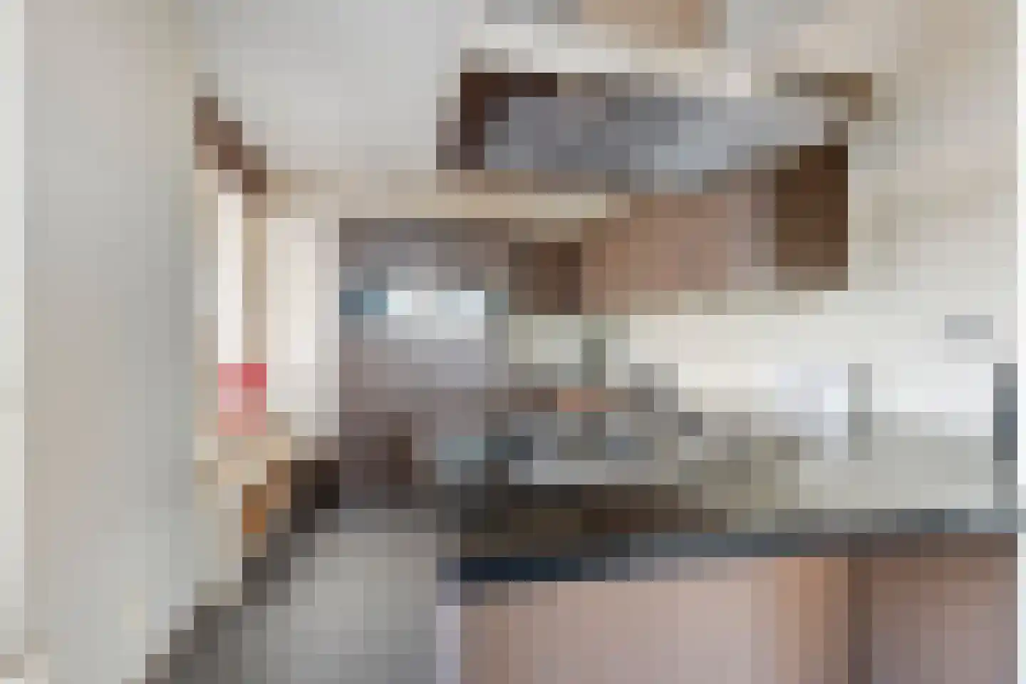 van Hogendorpstraat 124 Nijmegen thumbnail 12