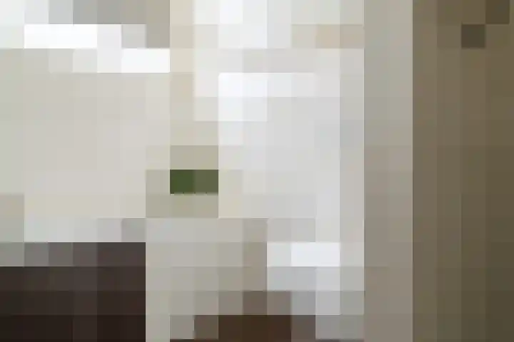 Van Hogendorpstraat 13 Almkerk thumbnail 19