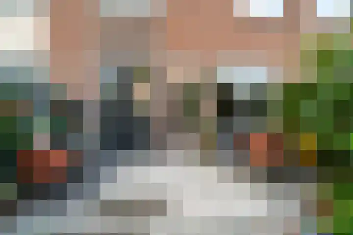 Van Hogendorpstraat 13 Almkerk thumbnail 24