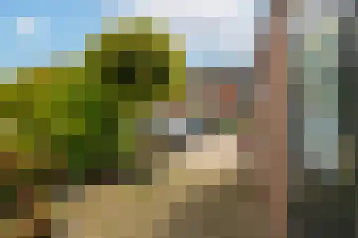 Van Hogendorpstraat 13 Almkerk thumbnail 4