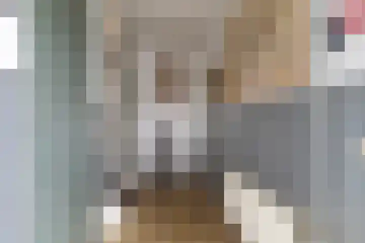 Van Hogendorpstraat 13 Almkerk thumbnail 5