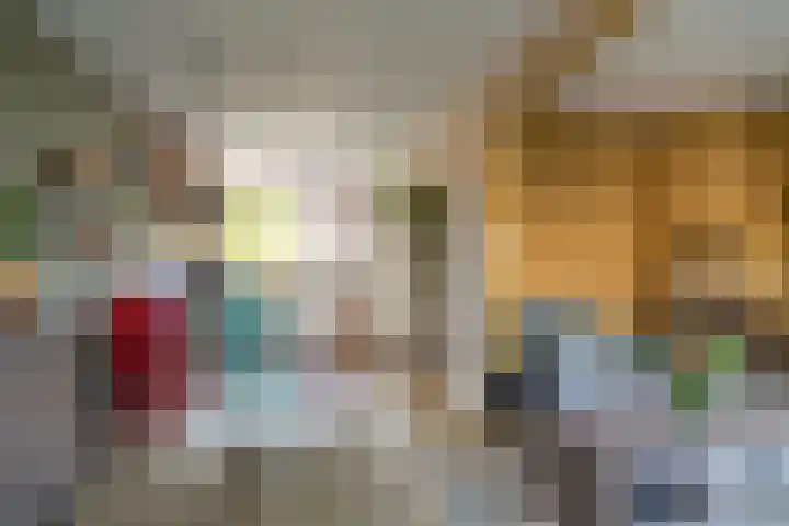 Van Hogendorpstraat 13 Almkerk thumbnail 9