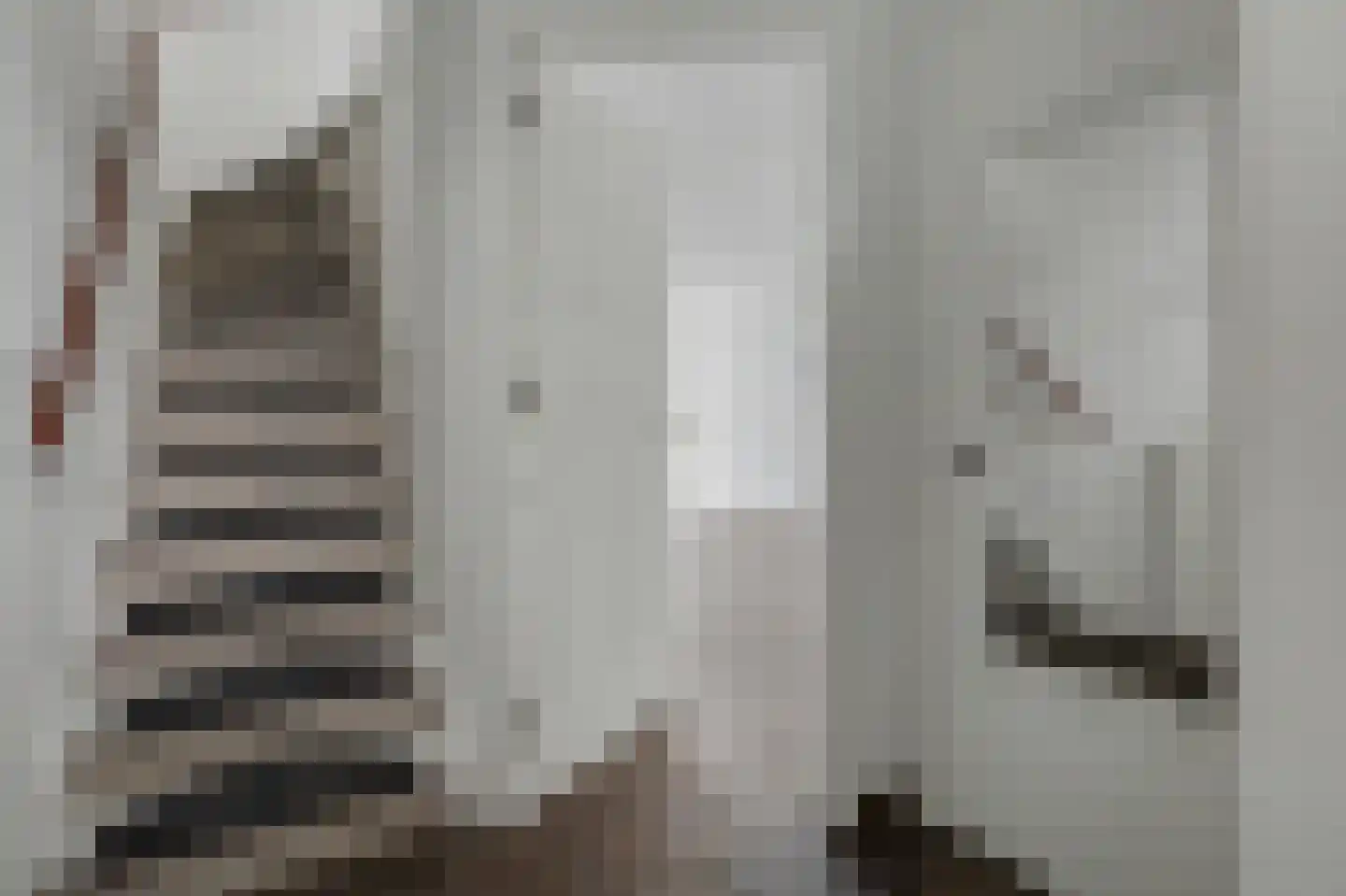 Van Hogendorpstraat 135 Tilburg thumbnail 12