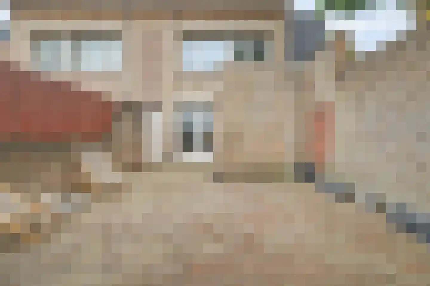 Van Hogendorpstraat 135 Tilburg thumbnail 29