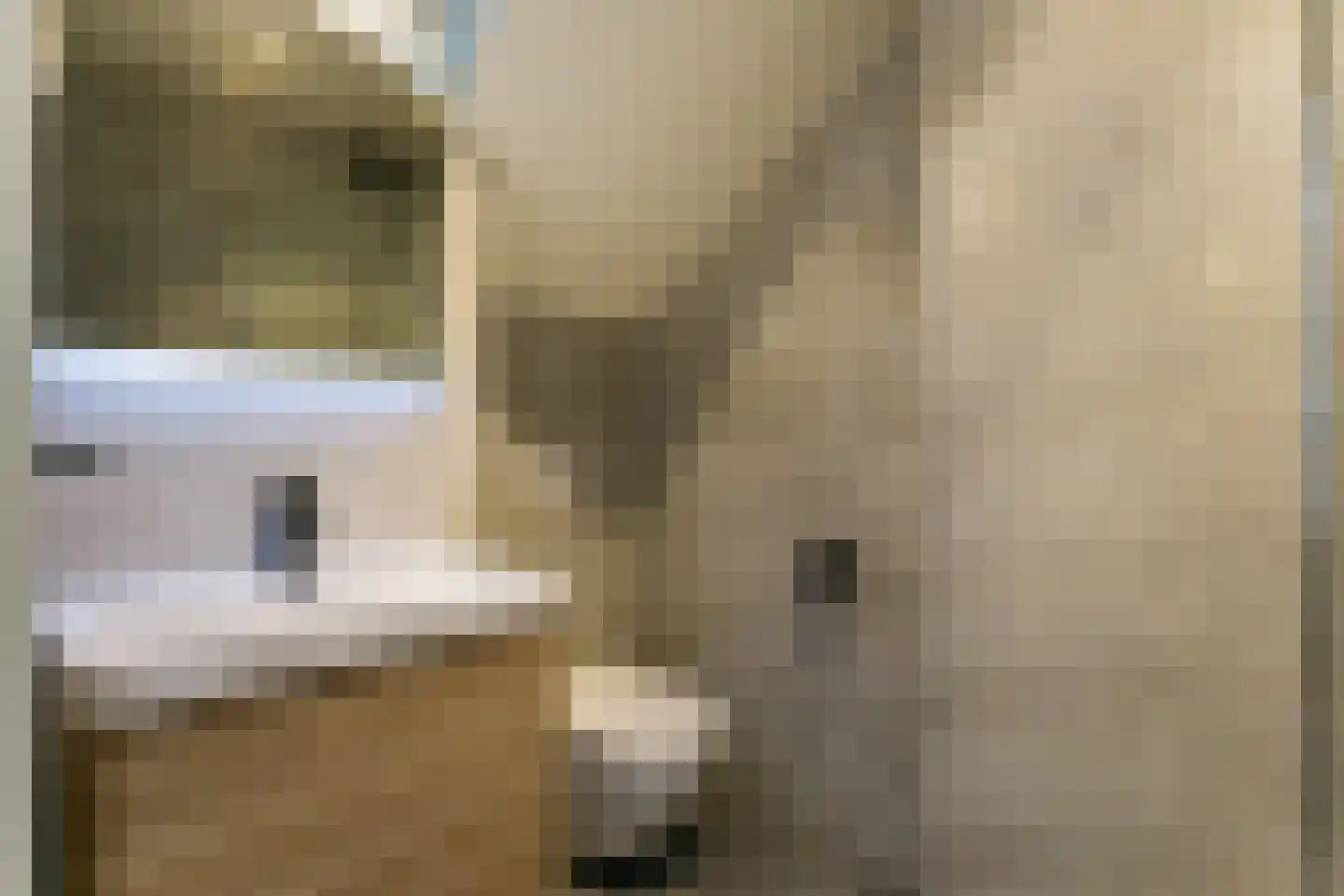 Van Hogendorpstraat 137 2 Amsterdam thumbnail 20