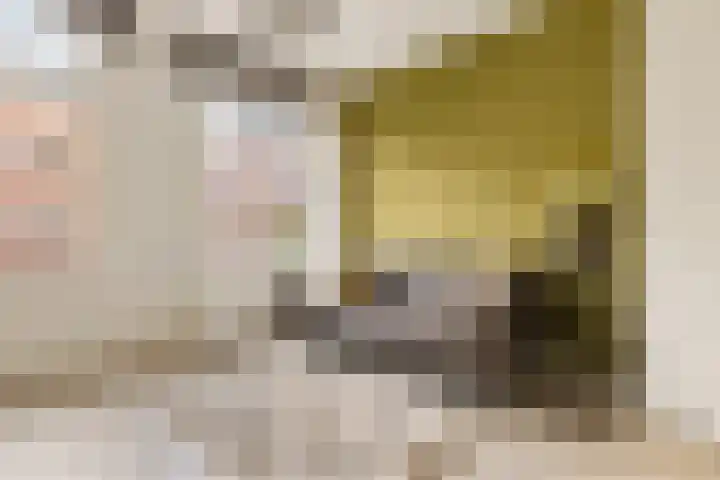 Van Hogendorpstraat 137 3 Amsterdam foto 3