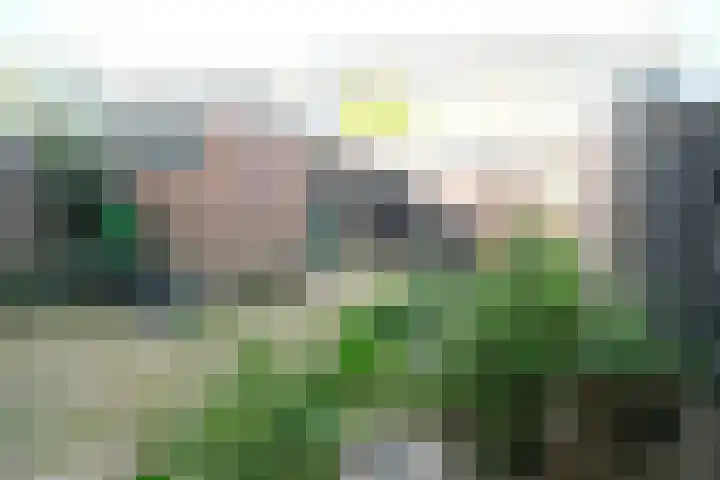 van Hogendorpstraat 14 Culemborg thumbnail 12