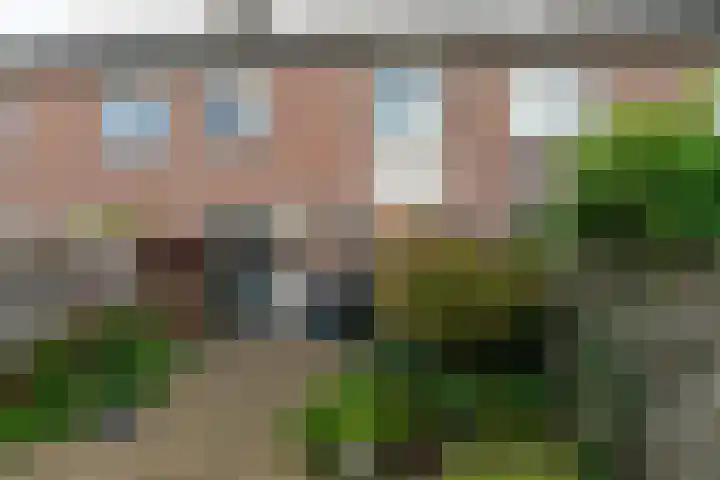 Van Hogendorpstraat 15 Almkerk thumbnail 26