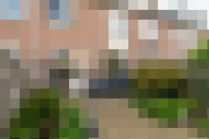Van Hogendorpstraat 15 Almkerk thumbnail 27