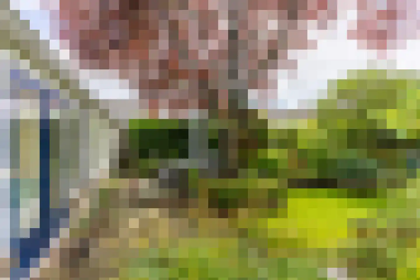Van Hogendorpstraat 15 Maarssen thumbnail 20