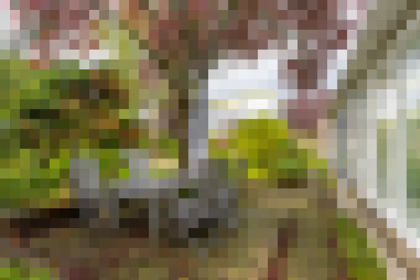 Van Hogendorpstraat 15 Maarssen thumbnail 21
